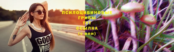 спайс Богородицк