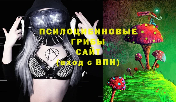 спайс Богородицк