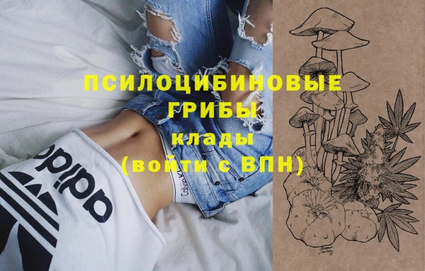 a pvp Богородск